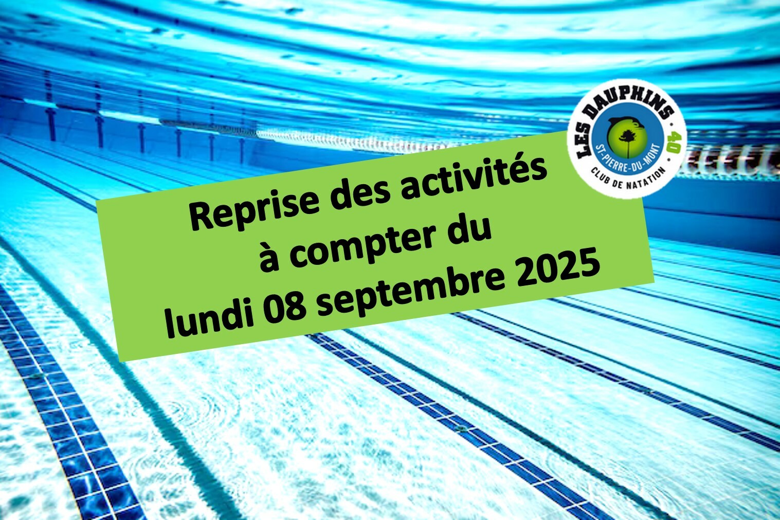 c'est la rentrée chez les Dauphins 