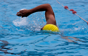 natation7.jpg