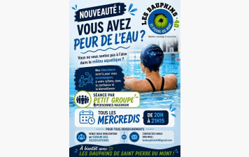 C'est nouveau chez les dauphins 🐬 !